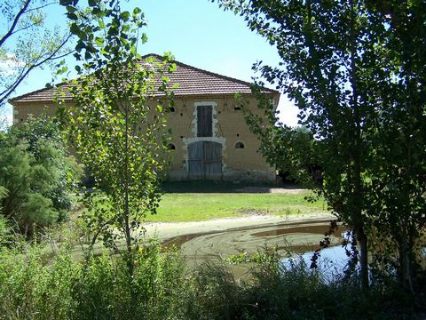 photo no. 34