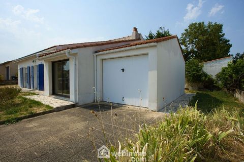 photo no. 11