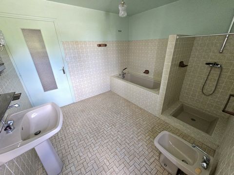 photo no. 9