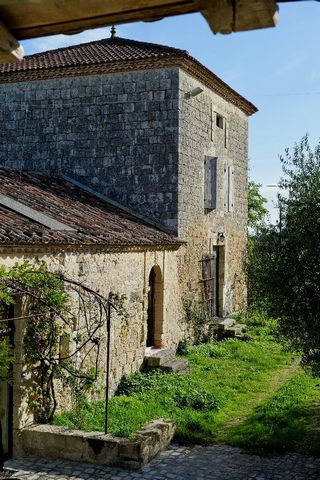 photo no. 13