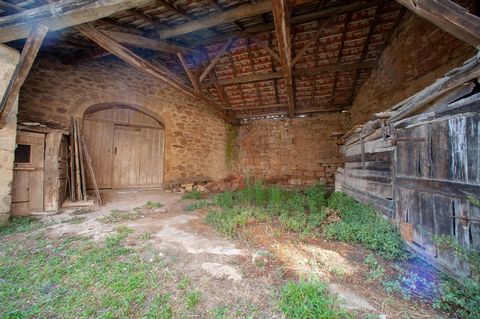 photo no. 18
