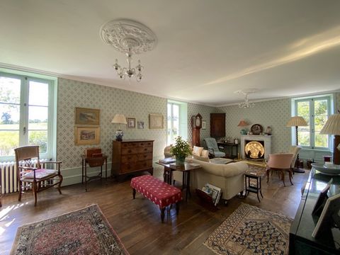 photo no. 6
