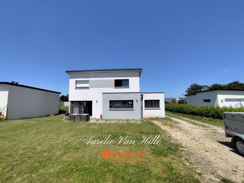 photo no. 9