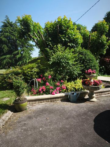 photo no. 10