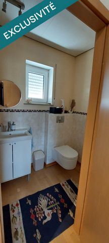 photo no. 11