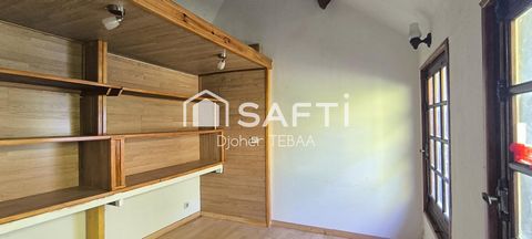 photo no. 11