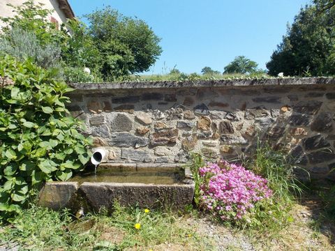 photo no. 2