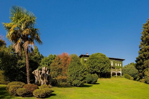Prestigieuze historische villa te koop, gebouwd rond 1900, omringd door een prachtig eeuwenoud park beplant met camelia's, azalea's en hoge bomen. Het elegante pand wordt gekenmerkt door grote verfijning en privacy. De prestigieuze villa, genaamd Vil...