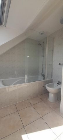 photo no. 12