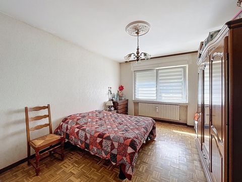 photo no. 7