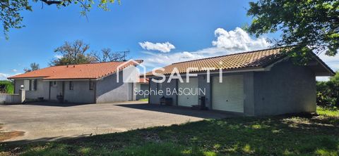 Maison individuelle nichée en pleine campagne sur 3833m2 de terrain arboré, déconnexion absolue.