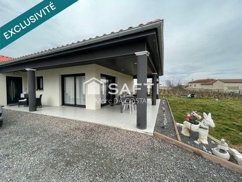 photo no. 11