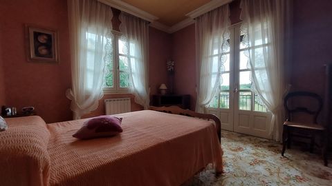 photo no. 2