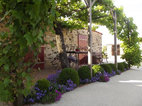 photo no. 3