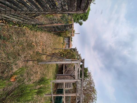photo no. 10