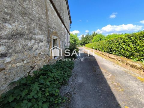 photo no. 11