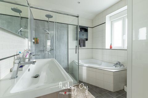 photo no. 12