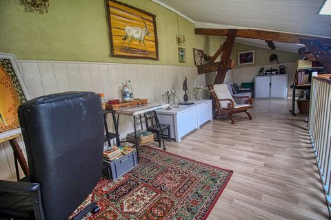 photo no. 6