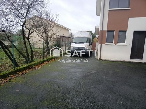 photo no. 11