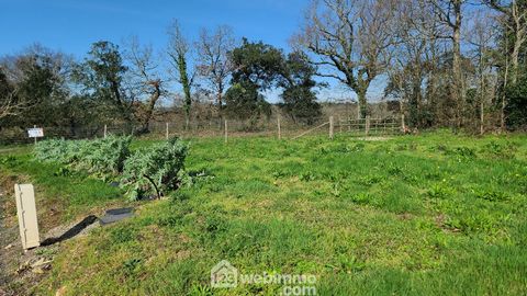 Terrain à bâtir - 443m² - Talmont-Saint-Hilaire