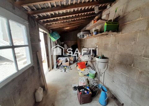 photo no. 12