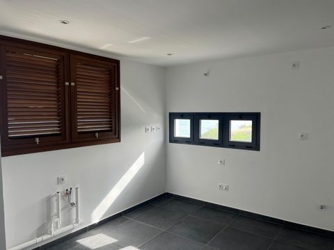 photo no. 2