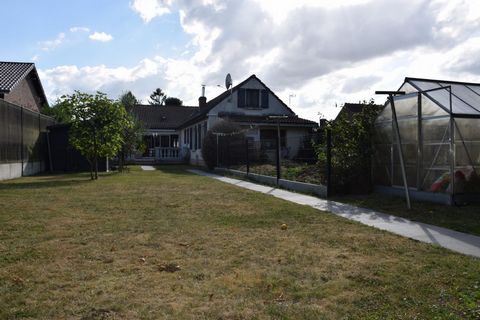 photo no. 11