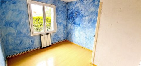 photo no. 11