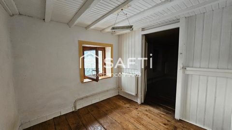 photo no. 5
