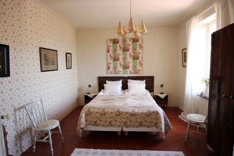 photo no. 5