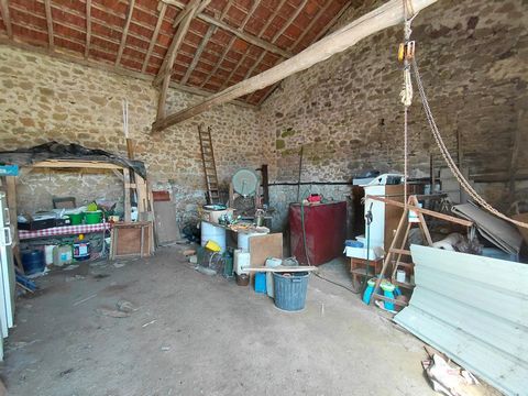 photo no. 15