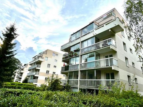 photo no. 12