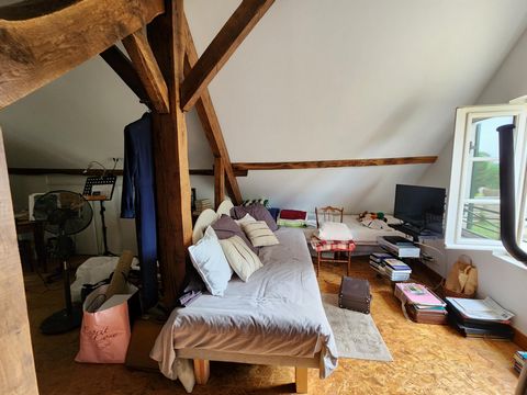 photo no. 7
