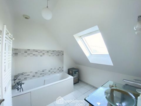 photo no. 19