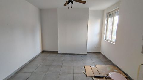 photo no. 6