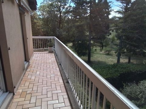 photo no. 11
