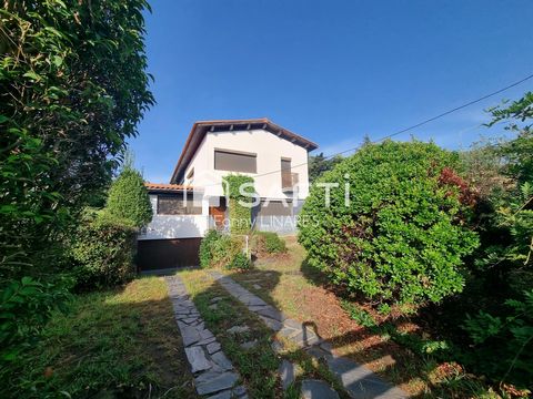 photo no. 12