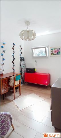 photo no. 11