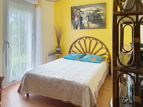 photo no. 8