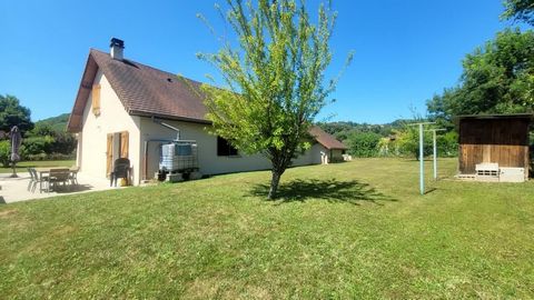 photo no. 12