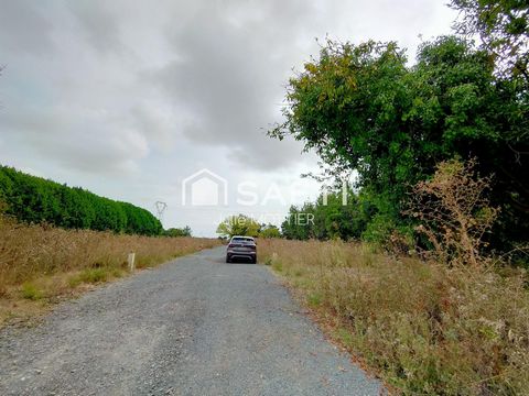 photo no. 1