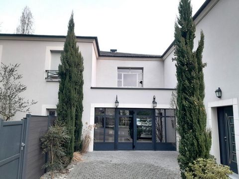 photo no. 10
