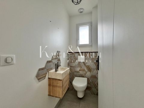 photo no. 11