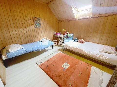 photo no. 12
