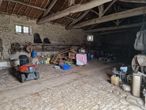photo no. 4