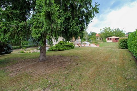 photo no. 15