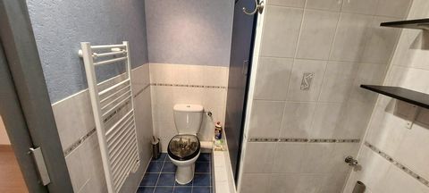 photo no. 7