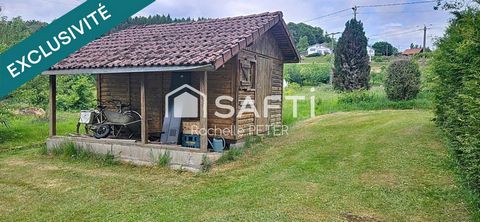 photo no. 15