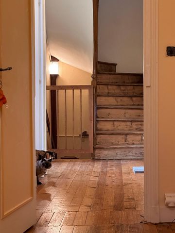 photo no. 8