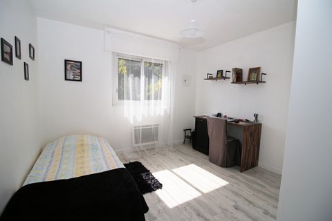 photo no. 10